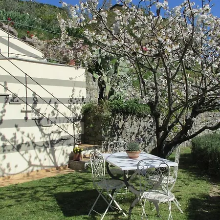 5 Terre - La Giuditta -